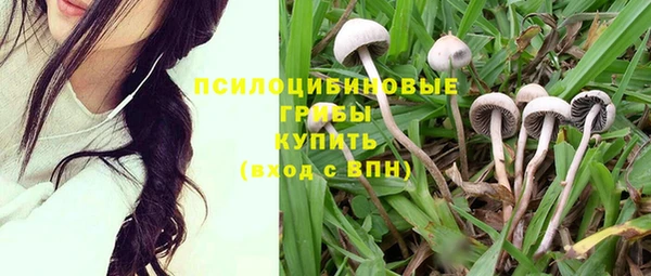 тгк Арсеньев