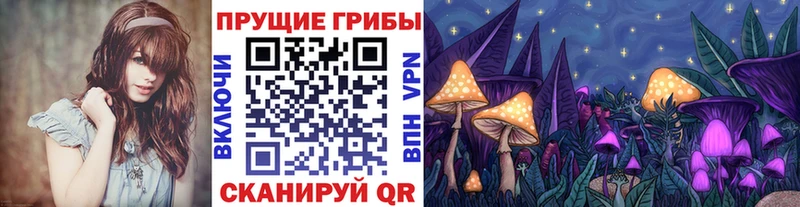 Псилоцибиновые грибы Psilocybine cubensis Полярный